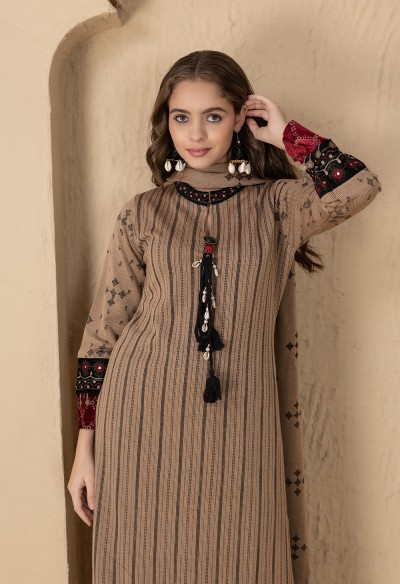 BEIGE FESTIVE KNITTED KURTA SET